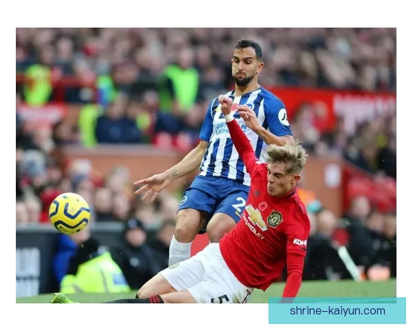 英超布莱顿传奇球员表现稳健，备受球迷喜爱